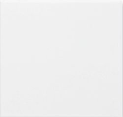 Арт. ADNE1025 Liso PB Blanco Z Adex ADNE1025 Liso PB Blanco Z 15x15